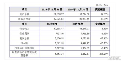 金智教育聚焦高等教育信息化，2020年营收达4.7亿元，核心业务为信息系统集成服务